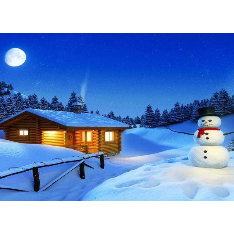 Snowman House and Fu...