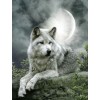 White Wolf in Winter Full Moon Night Diamond Art Painting kit