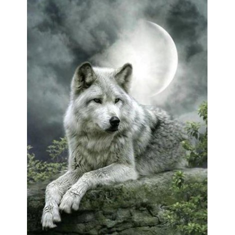 White Wolf in Winter Full Moon Night Diamond Art Painting kit