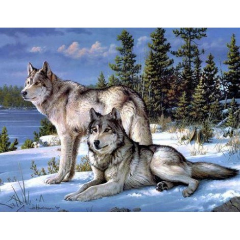 A Pair of White Wolf in Winter Snow Diamond Art Painting kit