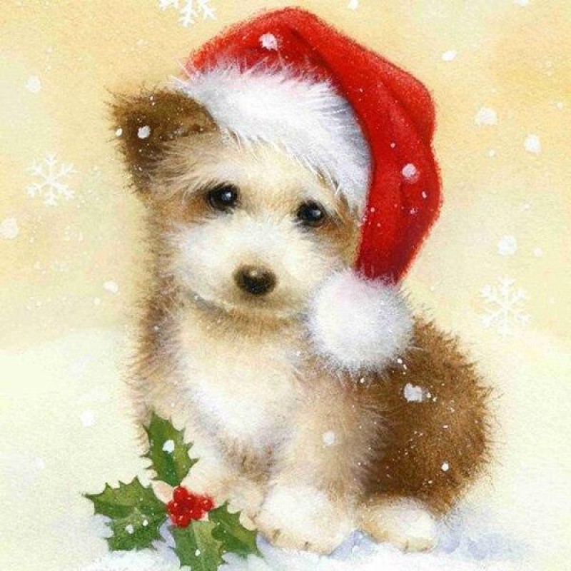 Christmas little Dog...