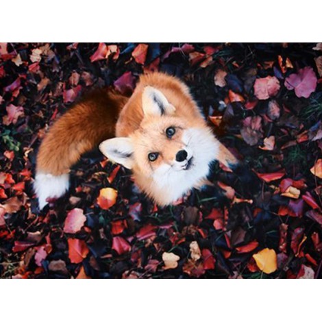 Fox in the Forest Diamond Art Painting