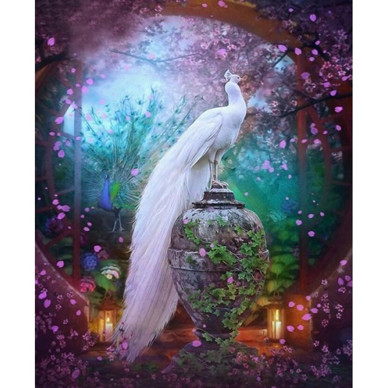 White Peacock - [USA...