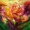 Colorful Butterflies on the Rose Diamond Painting