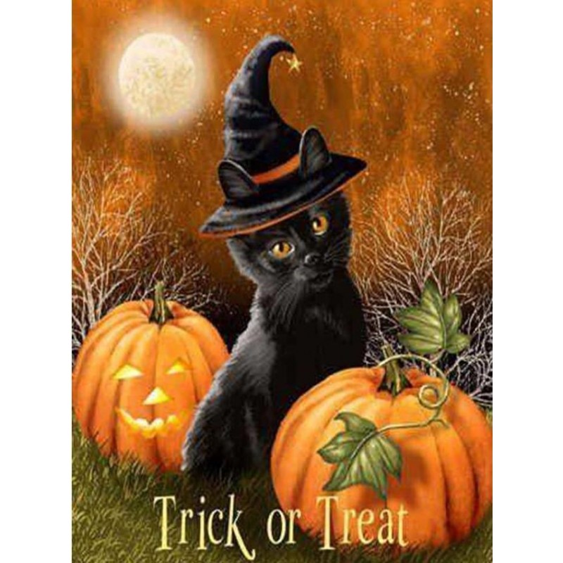 Black Cat & Pumpkin