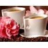 Coffee with flowers Lovers Collection