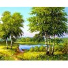 Natural View Landscape Paint with Diamond Kits
