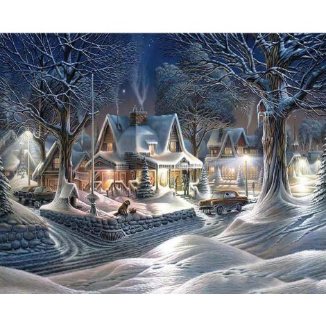 Beautiful Snowy House & Trees