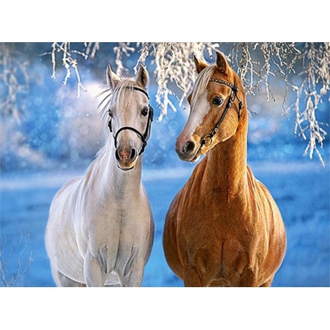 Winter Horses
