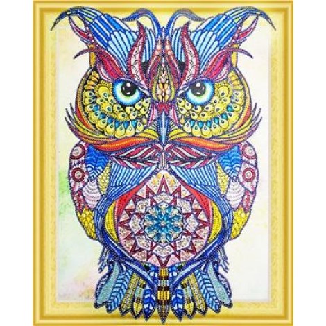 Special Serious Owl Diamond Art Kit