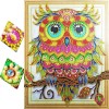 Special Serious Owl Diamond Art Kit