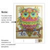 Special Serious Owl Diamond Art Kit