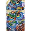 Huge Artistic Owl Diamond Painting