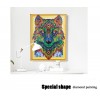 Special Shaped Wold Diamond Painting Kit