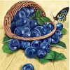 Sweet Blue Berries & Beautiful Butterfly