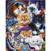 Beautiful Cats  Diamond Painting Kits