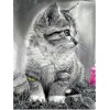 Beautiful Cats  Diamond Painting Kits
