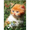 Beautiful Cats  Diamond Painting Kits