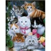 Beautiful Cats  Diamond Painting Kits