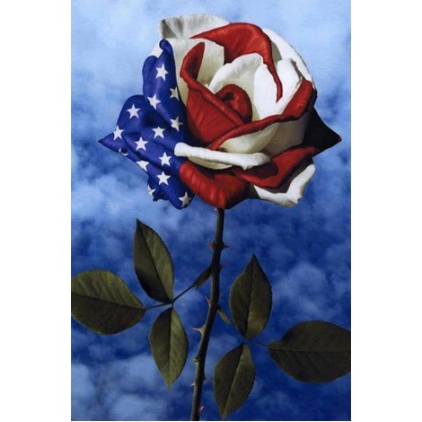 American Flag & Flower Diamond Painting