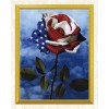 American Flag & Flower Diamond Painting