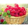 Basket of Berries Diamond Art Kit