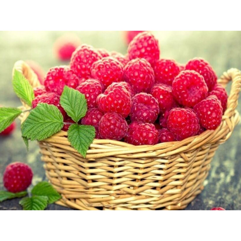 Basket of Berries Di...
