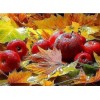 Fruits & Leaves Diamond Art Kit