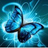 Butterfly - Diamond Art Kit