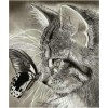 Beautiful Cats Diamond Art Kits