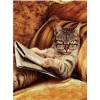 Beautiful Cats Diamond Art Kits