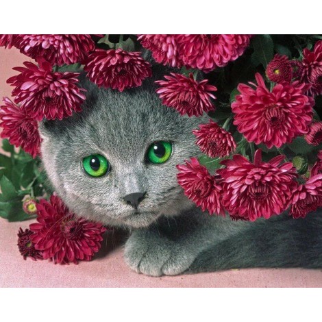 Shy Cat & Flowers