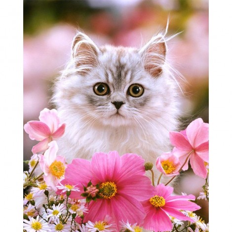 Cat & Flowers Art Kit