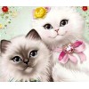 Cat Cartoons Diamond Art