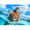 Swimming Cat & Tiger Art Kit