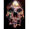 Skull Art DIY Diamond Painting