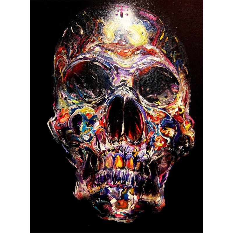 Skull Art DIY Diamon...
