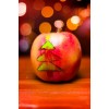 Apple & Christmas Tree