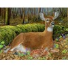 Amazing Deer Paintings - DIY Diamond Art