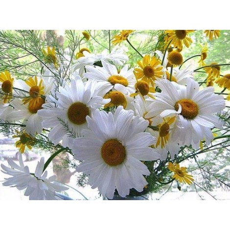 Beautiful Daisy Diamond Art Kit