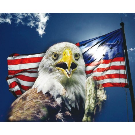 Flag & Eagle DIY Diamond Painting