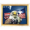 Flag & Eagle DIY Diamond Painting