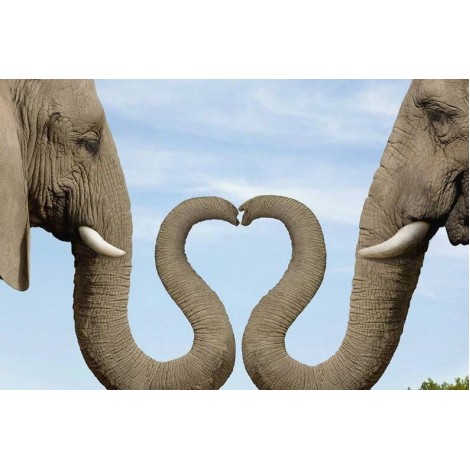 Elephants Trunk Heart Diamond Painting Kit