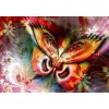 Butterfly Flying DIY Painting Kit