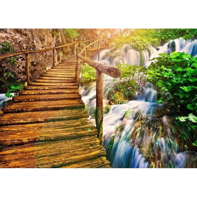 Waterfall & Forest L...