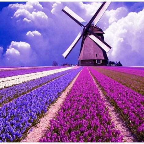 Flower Beds & Windmill Painting Kit