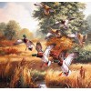 Beautiful Ducks Diamond Art Kit