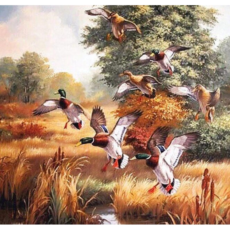 Beautiful Ducks Diam...