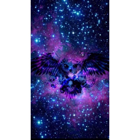 Abstract Owl & Galaxy Painting Kit