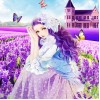 Lavender Filds & Girl DIY Painting Kit